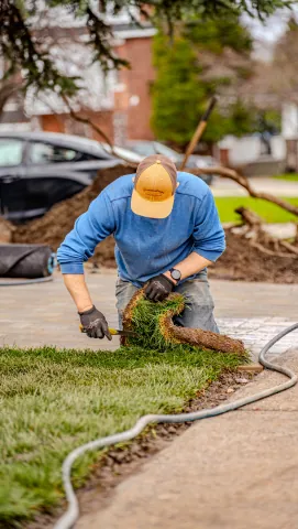Bouwers crew installing fresh sod, North Bay.