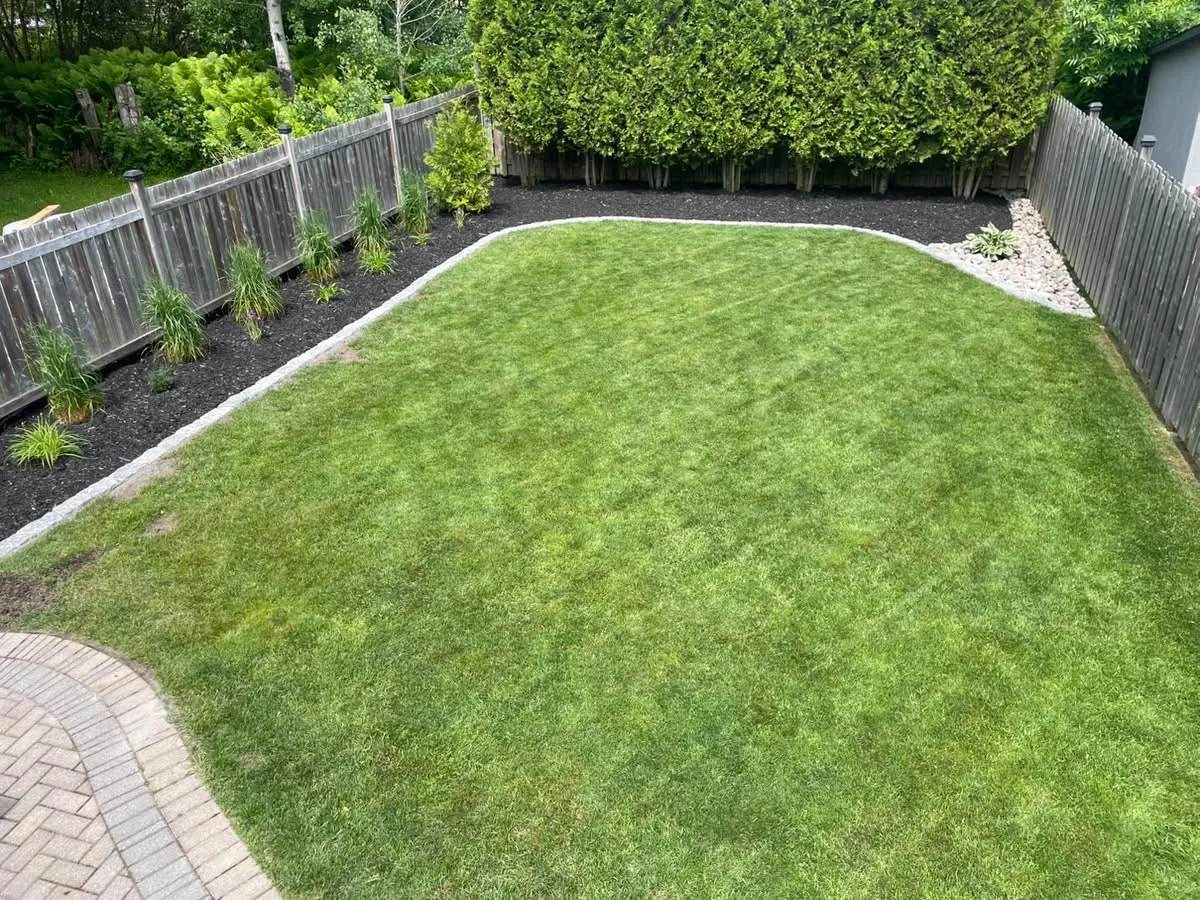 Same backyard after a Bouwers Design Landscaping build, with fresh sod, a curved cobble-edged garden bed, and dwarf shrubs running along the fence line.