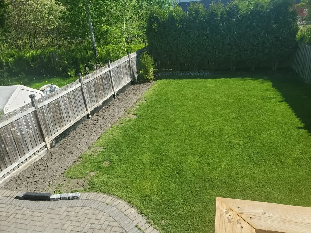 Overgrown backyard before a Bouwers Design Landscaping redesign, with sparse grass and a tired fence line waiting for grade prep and new plantings.